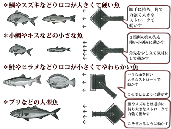 ウロコが飛び散らないウロコ取り器 鱗トル 新潟キッチン 01 0 845